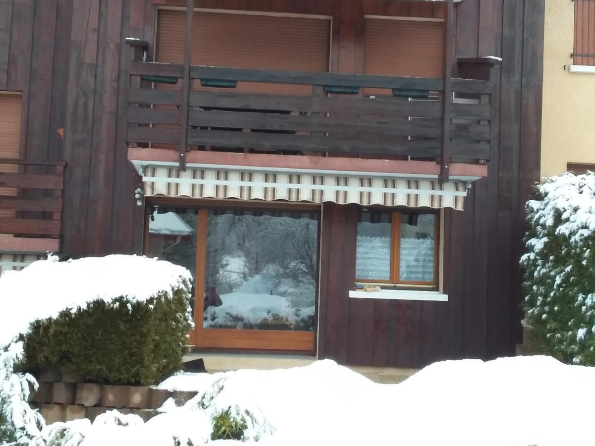 Charmant Duplex De 45M², 2 Chambres, Jardin, Garage, Villard-De-Lans - Fr-1-515-51 Luaran gambar