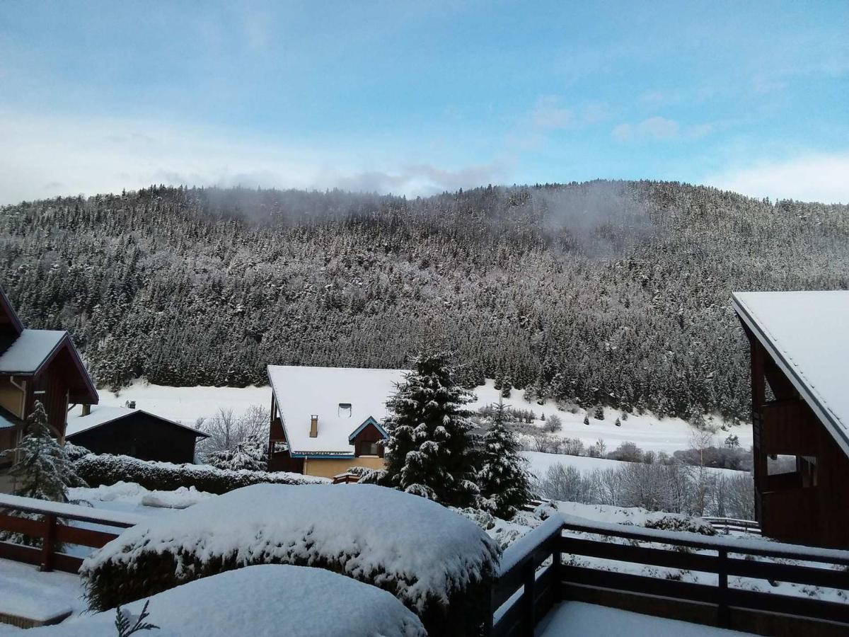 Charmant Duplex De 45M², 2 Chambres, Jardin, Garage, Villard-De-Lans - Fr-1-515-51 Luaran gambar